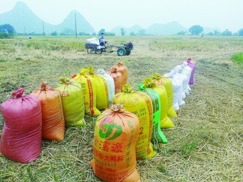 我市今年粮食总产量有望突破200万吨