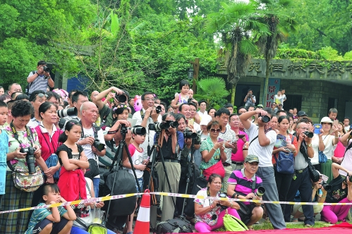 国庆节 公园景区游人如织