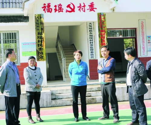 县委书记谷海洪(右三)在大发瑶族乡福瑶村考察指导农村基层组织