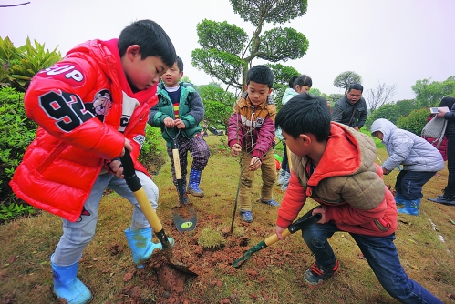 "植树节"市民在园博园种下4000多株树苗