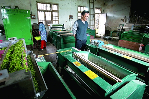 合作社引进了不少茶叶加工设备,实现了机械化生产.