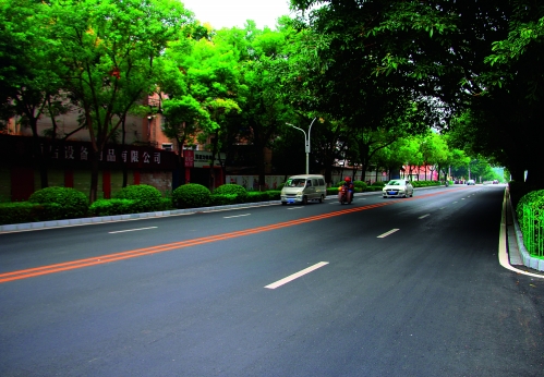 如椽巨笔 绘就美丽桂林新画卷 - 桂林日报社数