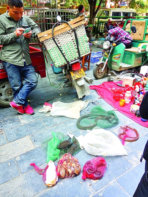 一男子在花鸟市场门口当街卖蛇