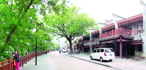 如今的草坪,已成为市民游客休闲旅游度假的好去处 通讯员雷茂林 摄