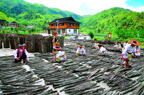 甘甲村因地制宜种植厚朴喜获丰收.