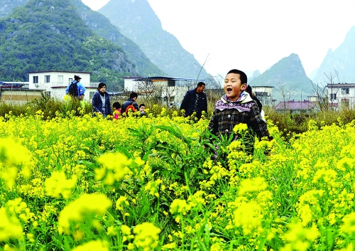 田心村附近的油菜花   记者滕嘉 摄
